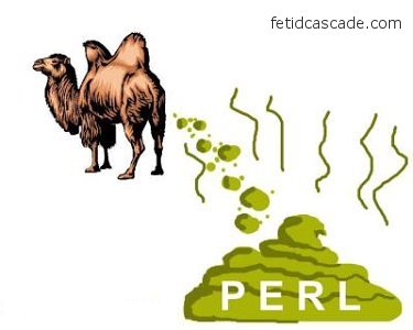 丑陋的Perl