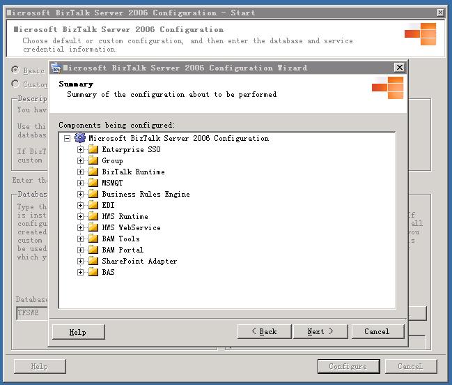 biztalk2006_config2.jpg