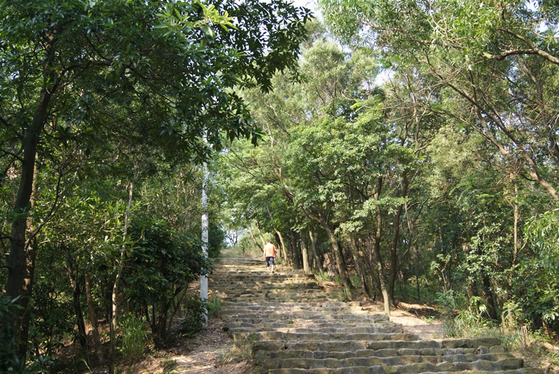 五桂山