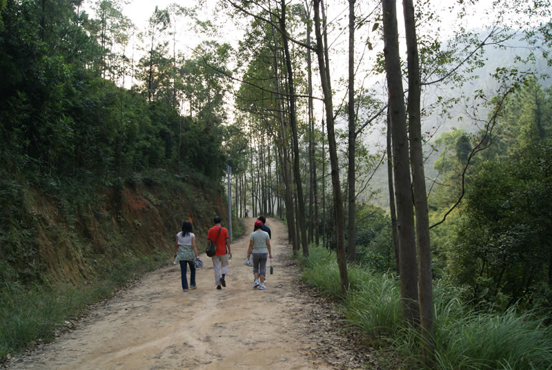 五桂山