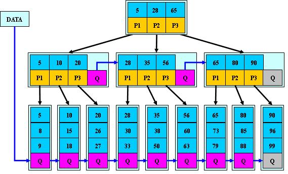 B树、B-树、B+树、B*树(转)