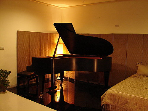 世界上最贵的钢琴