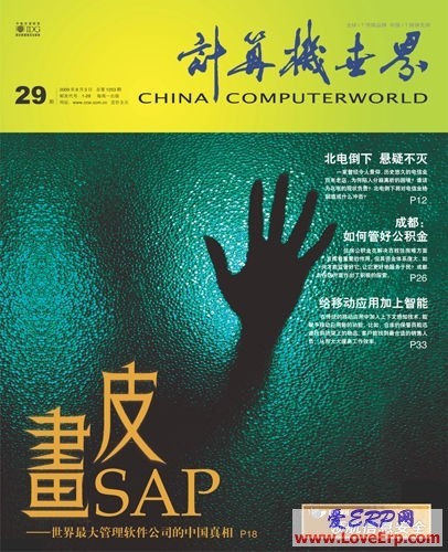 画皮SAP——世界最大管理软件公司的中国真相