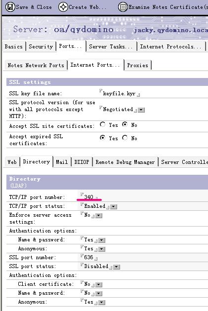 关于 Windows Server 2003 和 Lotus Domino Server 7.0.1 的 LDAP 服务 389 端口冲突问题的解决