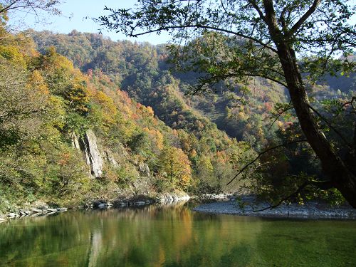 隴南康縣陽壩生態旅遊風景區