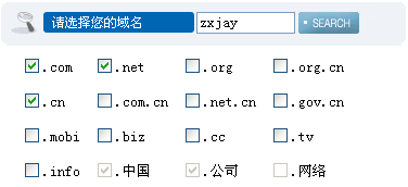 aspnetc實現中英文域名查詢